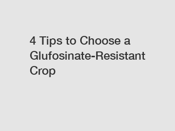 4 Tips to Choose a Glufosinate-Resistant Crop