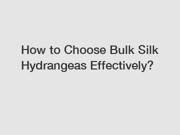 How to Choose Bulk Silk Hydrangeas Effectively?