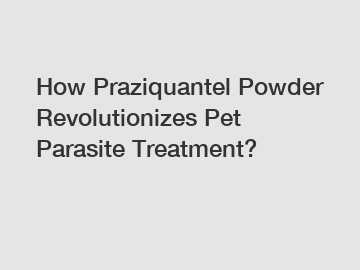 How Praziquantel Powder Revolutionizes Pet Parasite Treatment?