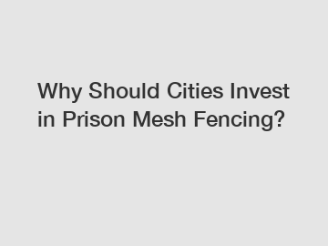 Why Should Cities Invest in Prison Mesh Fencing?