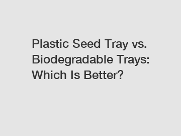 Plastic Seed Tray vs. Biodegradable Trays: Which Is Better?