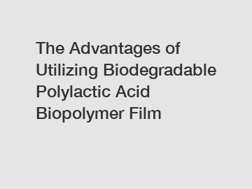 The Advantages of Utilizing Biodegradable Polylactic Acid Biopolymer Film