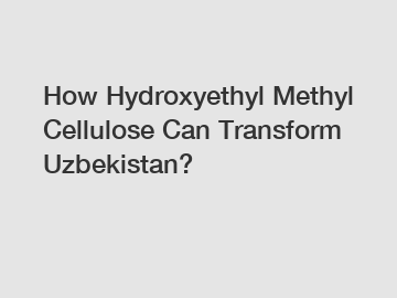 How Hydroxyethyl Methyl Cellulose Can Transform Uzbekistan?