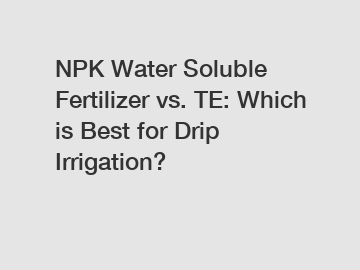 NPK Water Soluble Fertilizer vs. TE: Which is Best for Drip Irrigation?