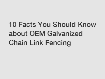 10 Facts You Should Know about OEM Galvanized Chain Link Fencing