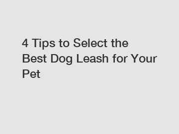 4 Tips to Select the Best Dog Leash for Your Pet