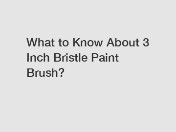 What to Know About 3 Inch Bristle Paint Brush?