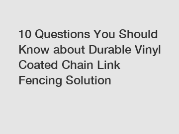 10 Questions You Should Know about Durable Vinyl Coated Chain Link Fencing Solution