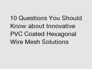 10 Questions You Should Know about Innovative PVC Coated Hexagonal Wire Mesh Solutions