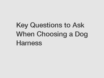 Key Questions to Ask When Choosing a Dog Harness