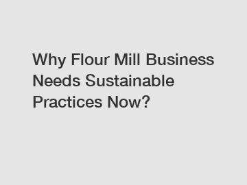 Why Flour Mill Business Needs Sustainable Practices Now?