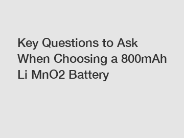 Key Questions to Ask When Choosing a 800mAh Li MnO2 Battery