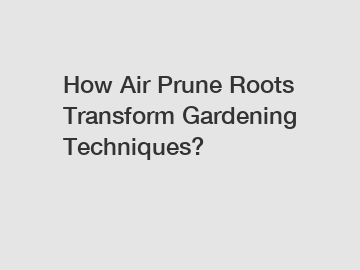 How Air Prune Roots Transform Gardening Techniques?