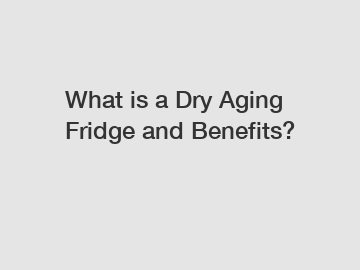 What is a Dry Aging Fridge and Benefits?