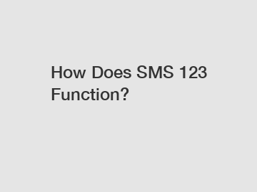 How Does SMS 123 Function?