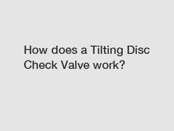 How does a Tilting Disc Check Valve work?