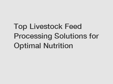 Top Livestock Feed Processing Solutions for Optimal Nutrition