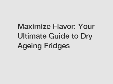 Maximize Flavor: Your Ultimate Guide to Dry Ageing Fridges