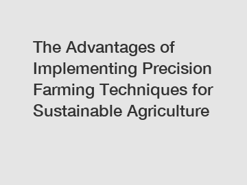 The Advantages of Implementing Precision Farming Techniques for Sustainable Agriculture The Advantages of Implementing Precision Farming Techniques for Sustainable Agriculture