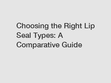 Choosing the Right Lip Seal Types: A Comparative Guide