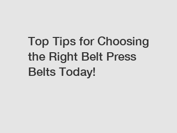 Top Tips for Choosing the Right Belt Press Belts Today!