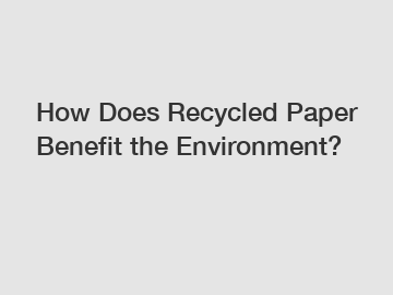 How Does Recycled Paper Benefit the Environment?