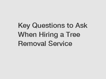 Key Questions to Ask When Hiring a Tree Removal Service