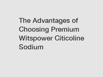 The Advantages of Choosing Premium Witspower Citicoline Sodium The Advantages of Choosing Premium Witspower Citicoline Sodium