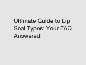 Ultimate Guide to Lip Seal Types: Your FAQ Answered!