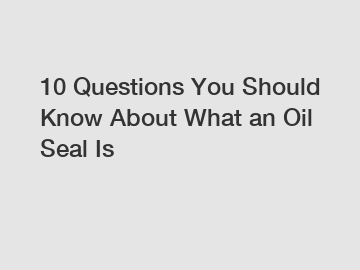 10 Questions You Should Know About What an Oil Seal Is