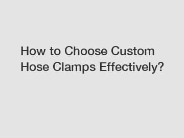 How to Choose Custom Hose Clamps Effectively?