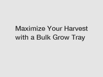 Maximize Your Harvest with a Bulk Grow Tray