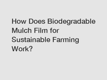 How Does Biodegradable Mulch Film for Sustainable Farming Work?