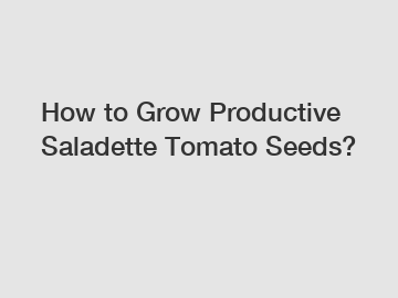 How to Grow Productive Saladette Tomato Seeds?
