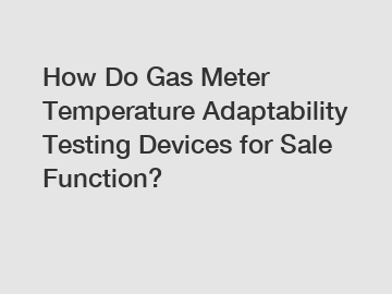 How Do Gas Meter Temperature Adaptability Testing Devices for Sale Function?