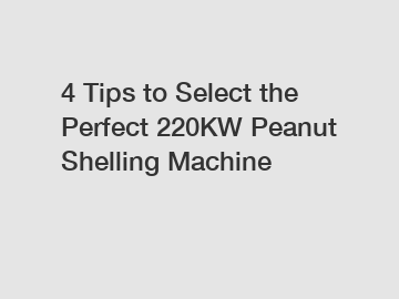 4 Tips to Select the Perfect 220KW Peanut Shelling Machine