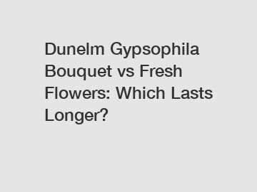 Dunelm Gypsophila Bouquet vs Fresh Flowers: Which Lasts Longer?