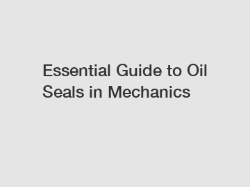 Essential Guide to Oil Seals in Mechanics