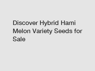 Discover Hybrid Hami Melon Variety Seeds for Sale