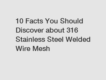 10 Facts You Should Discover about 316 Stainless Steel Welded Wire Mesh