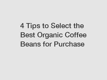 4 Tips to Select the Best Organic Coffee Beans for Purchase