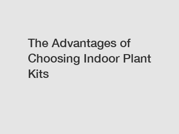 The Advantages of Choosing Indoor Plant Kits