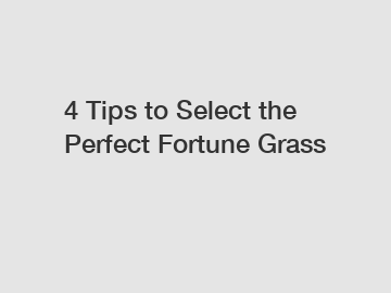 4 Tips to Select the Perfect Fortune Grass