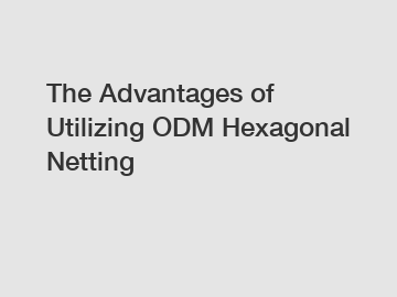The Advantages of Utilizing ODM Hexagonal Netting The Advantages of Utilizing ODM Hexagonal Netting
