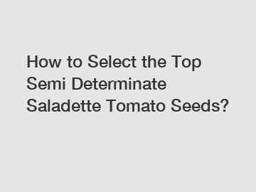 How to Select the Top Semi Determinate Saladette Tomato Seeds?