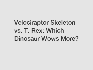 Velociraptor Skeleton vs. T. Rex: Which Dinosaur Wows More?