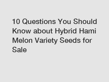 10 Questions You Should Know about Hybrid Hami Melon Variety Seeds for Sale