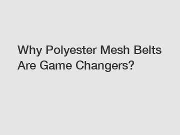 Why Polyester Mesh Belts Are Game Changers?