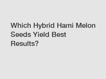 Which Hybrid Hami Melon Seeds Yield Best Results?