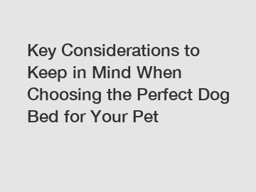 Key Considerations to Keep in Mind When Choosing the Perfect Dog Bed for Your Pet